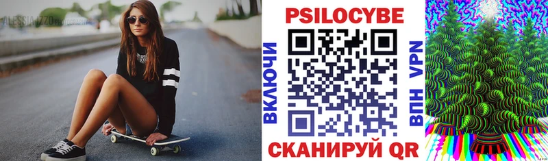 Псилоцибиновые грибы Psilocybine cubensis  Купить где  Барабинск 